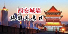 大鸡巴插的我逼逼喷水好爽视频中国陕西-西安城墙旅游风景区