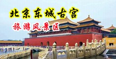 美女丝袜落体接吻鸡吧操鸡中国北京-东城古宫旅游风景区